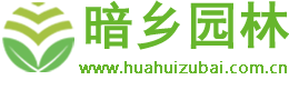 喀什地区暗乡花卉商城